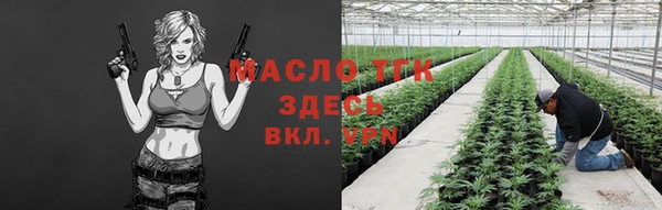 хмурый Арсеньев