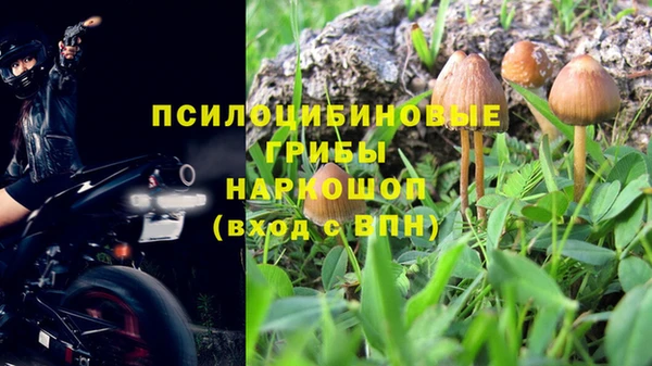 хмурый Арсеньев