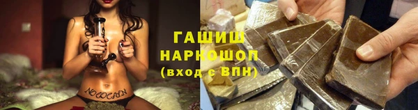 хмурый Арсеньев