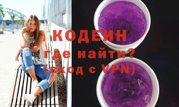 хмурый Арсеньев