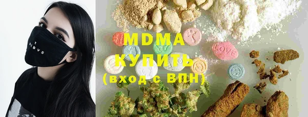 хмурый Арсеньев