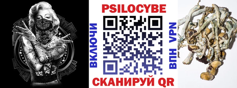 Псилоцибиновые грибы ЛСД  купить наркотики цена  Ковылкино 
